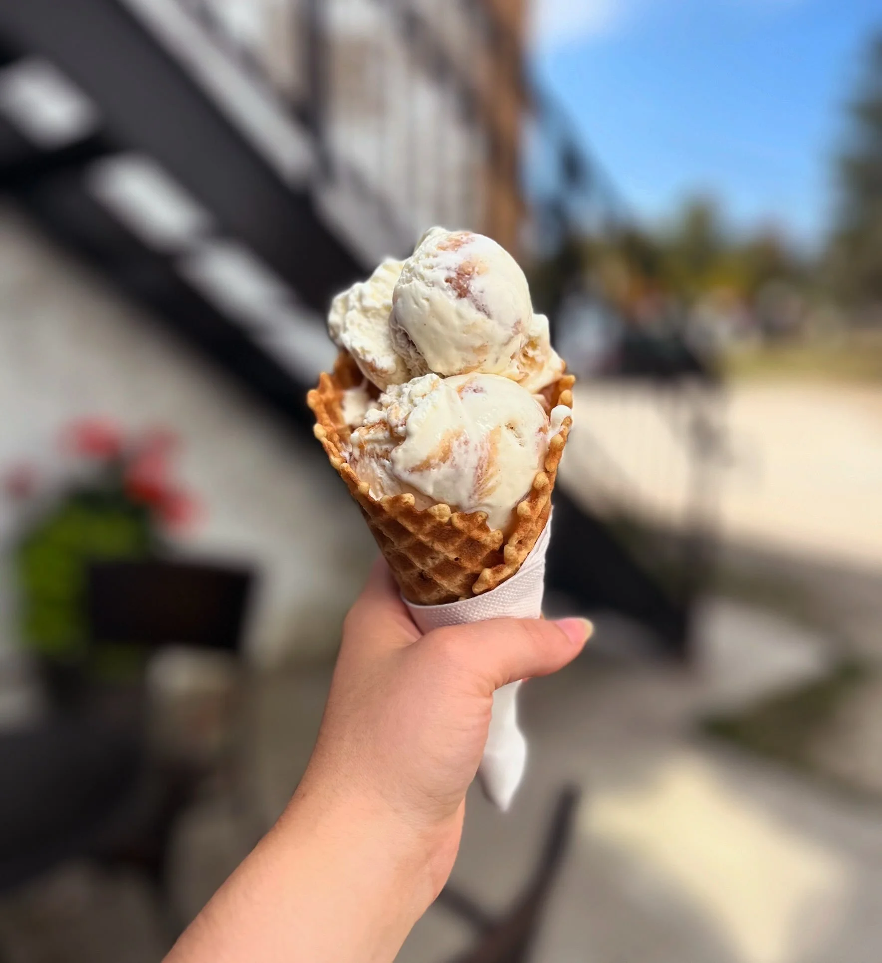 Hard Ice Cream season is almost over! Right now we have 2 fall flavours, pumpkin pie and spiced apple ripple ice cream 🍦🍎🥧