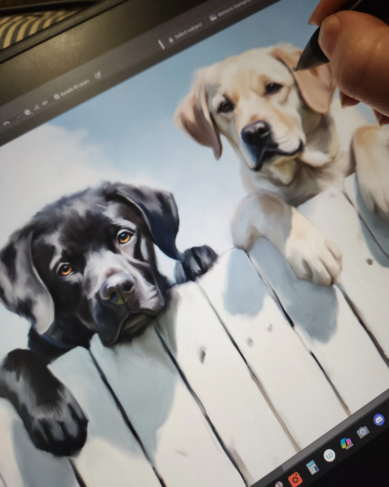 These two adorable labs are almost done. This was a very cute concept that I can't wait to share!!