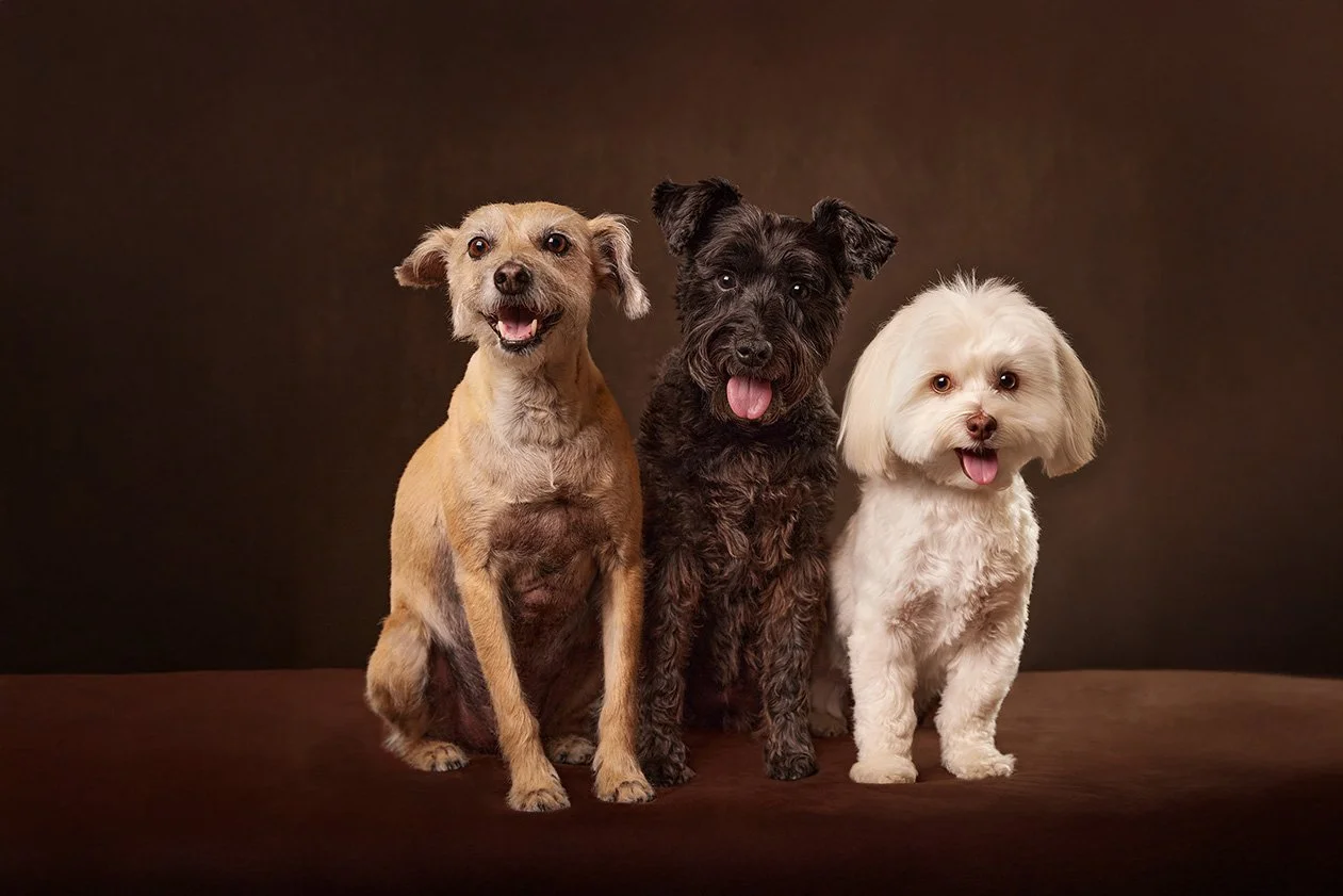 Lundy Painting 2b3 sm.jpg