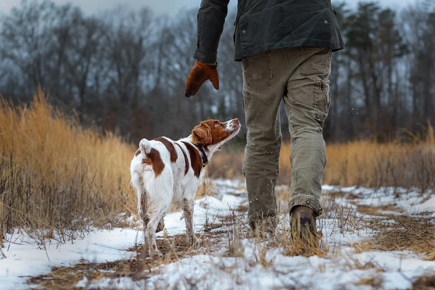 HR_Lincoln_4x5 sm.jpg