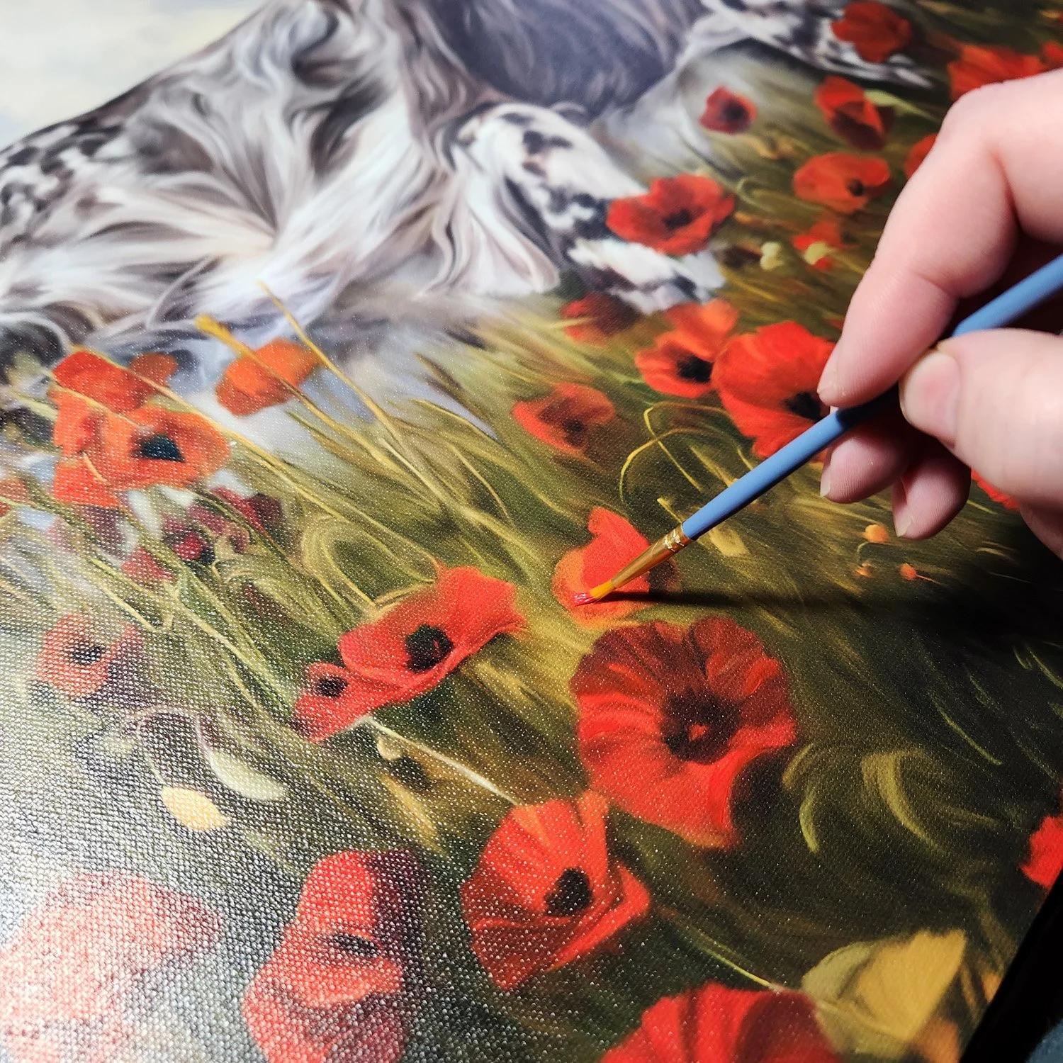 20241220_151644 copy.jpg