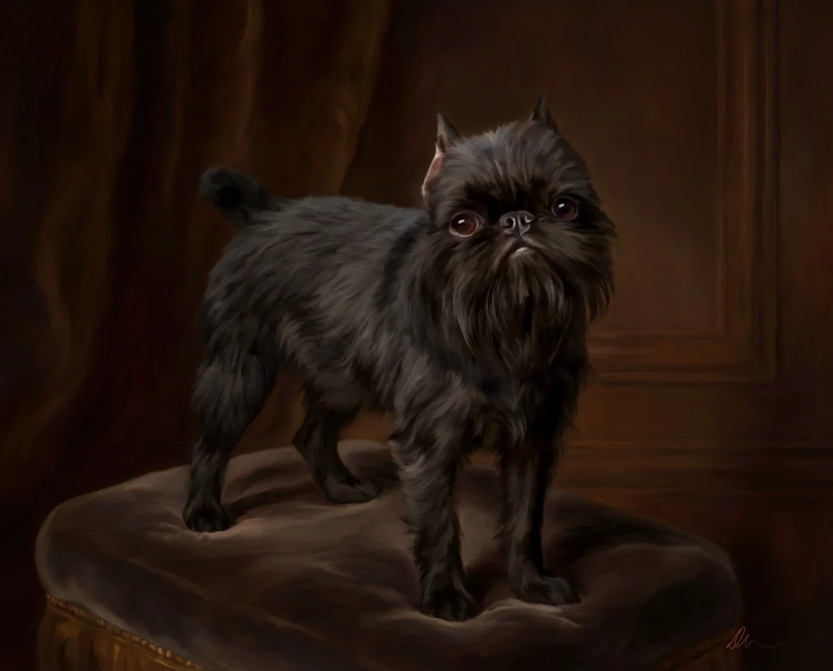 Two paintings for this one, because the Brussels Griffon has two stories to tell.

I'm posting this from the hotel hosting the Brussels Griffon National &mdash; the little mustachio'd Griffs are one floor above me. From cobblestone stable to velvet c