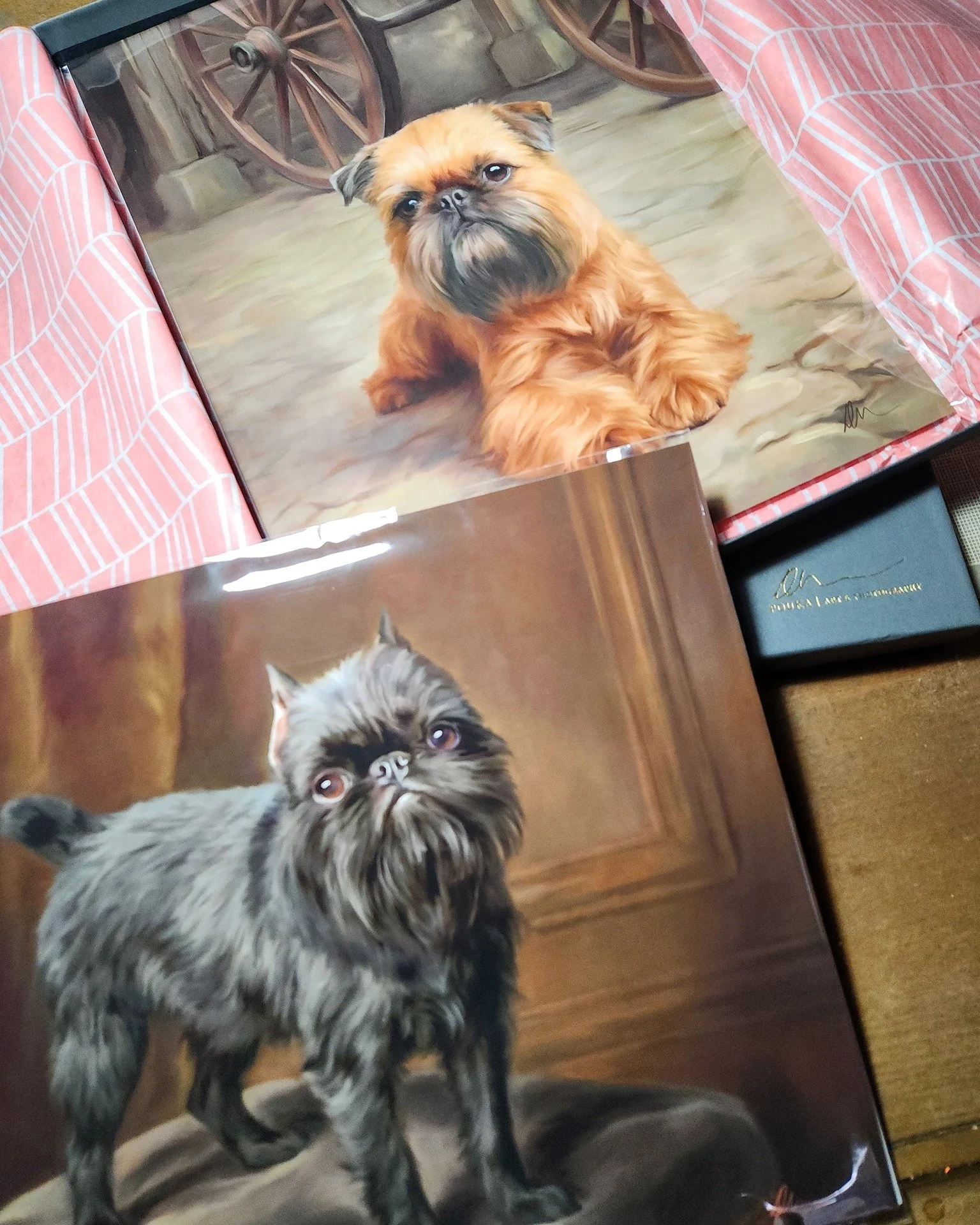 Before the Brussels Griffon National, I put out a call for reference images. Donna answered, and these two portraits came out of it. Both are now part of The 205 Project. Donna is getting a print of each as a thank-you.

Wonderful breed. Very spicy. 