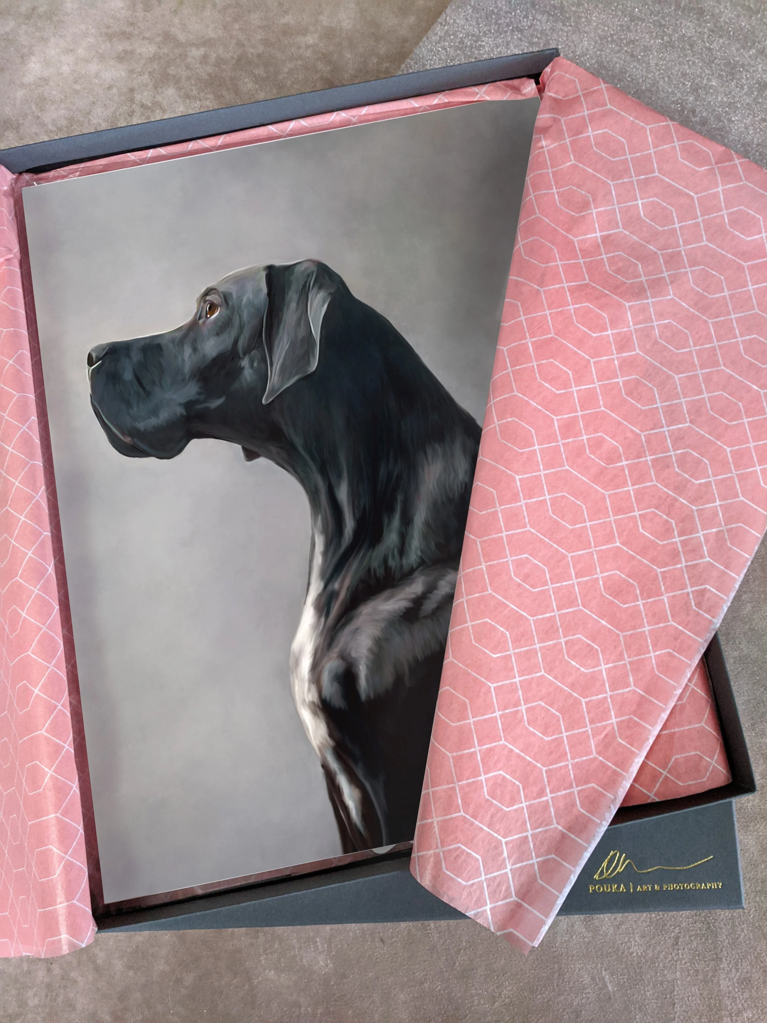 11x14 panther.jpg