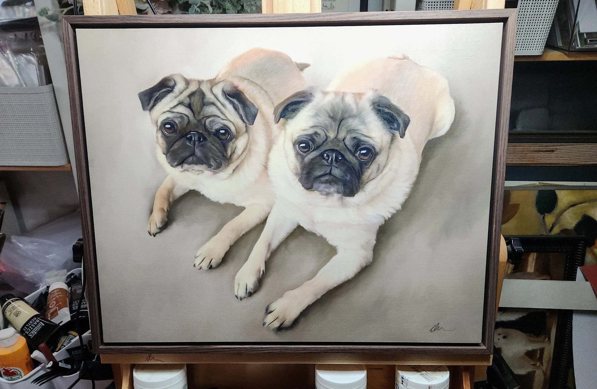 This painting of two feisty pugs is almost ready to go home!
