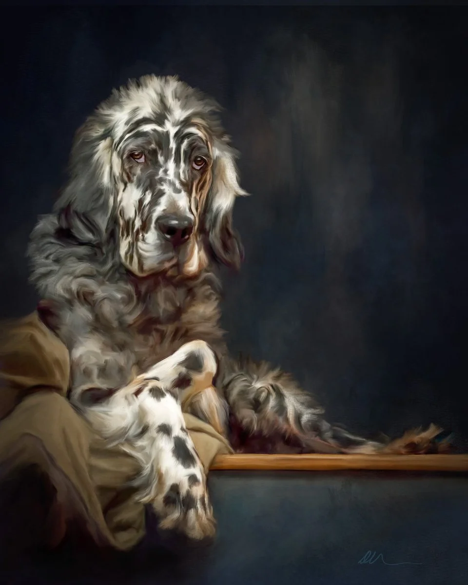 Here's another older favorite. This is George, photographed by Andrew Lawlor. I loved this image of him, tucked up at the top of the stairs and the way the light hit his gorgeous markings - Andrew was kind enough to let me paint it. George was a deaf