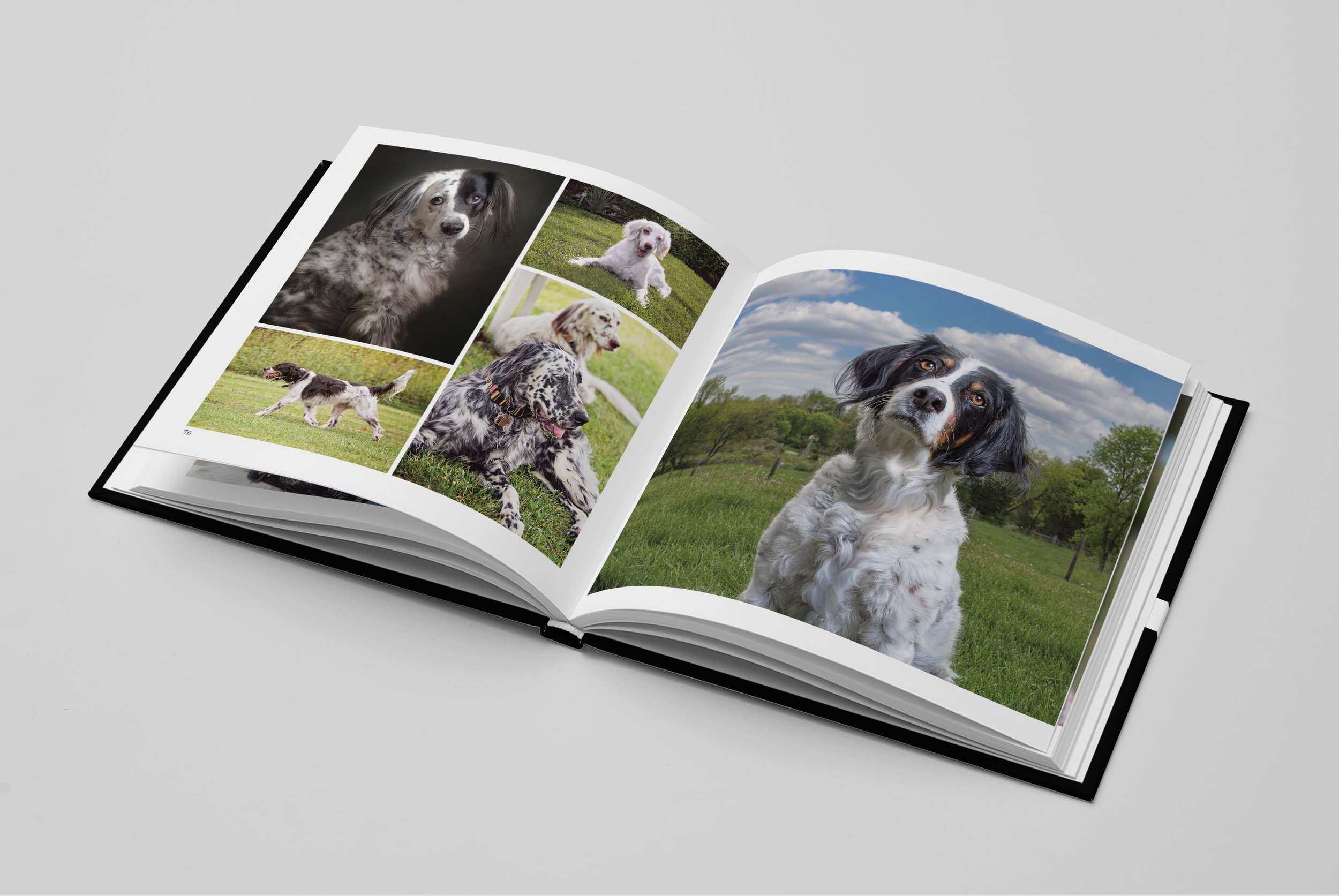 02_Square Book Mock-up.jpg
