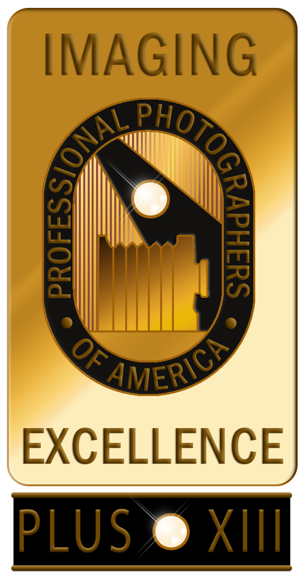 Imagine Excellence Plus Bar.png