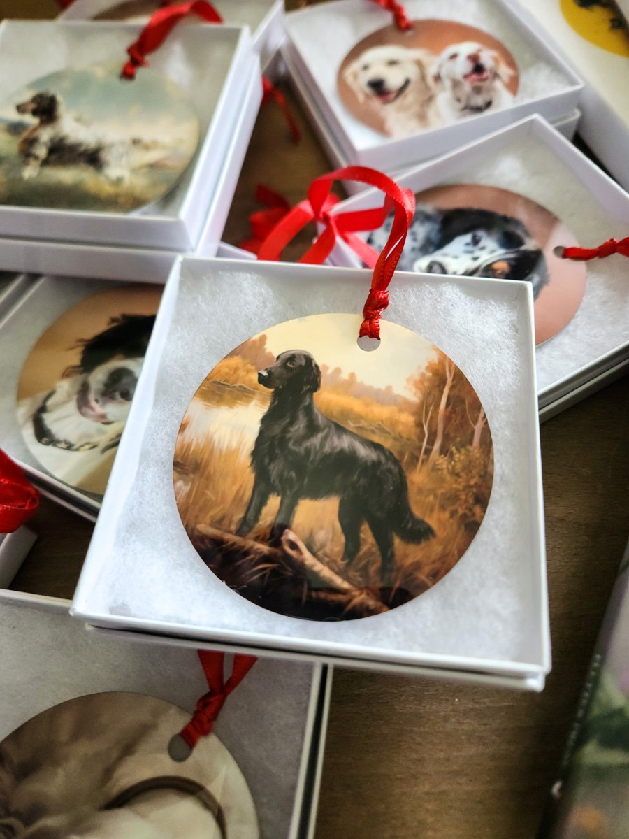 20231205_103151 copy.jpg