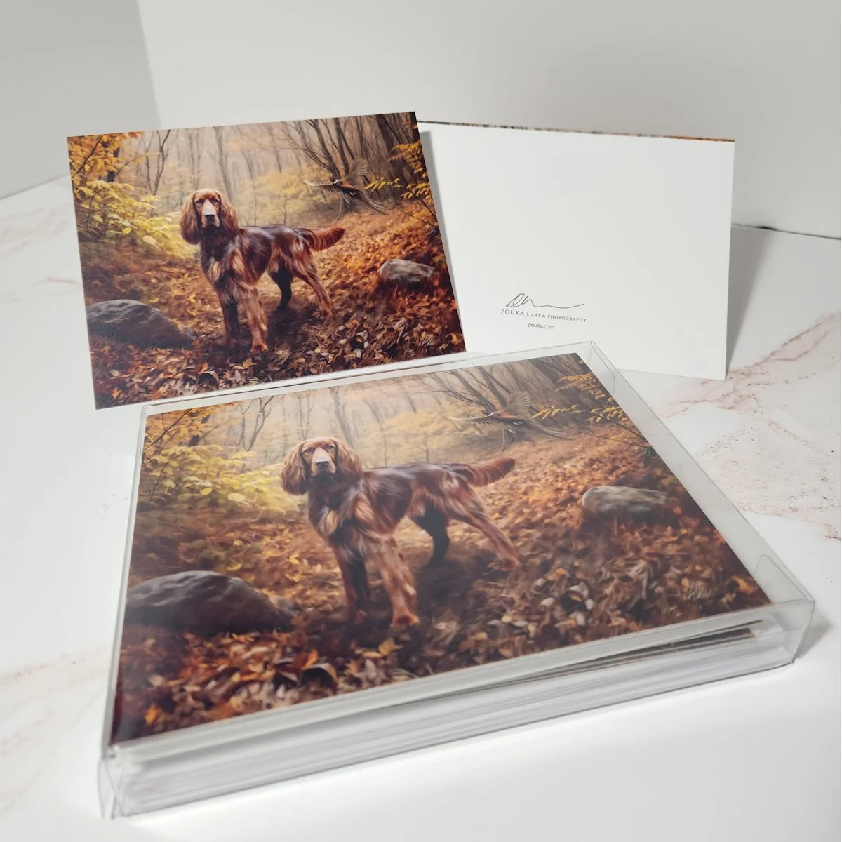 20250221_113226 copy.jpg