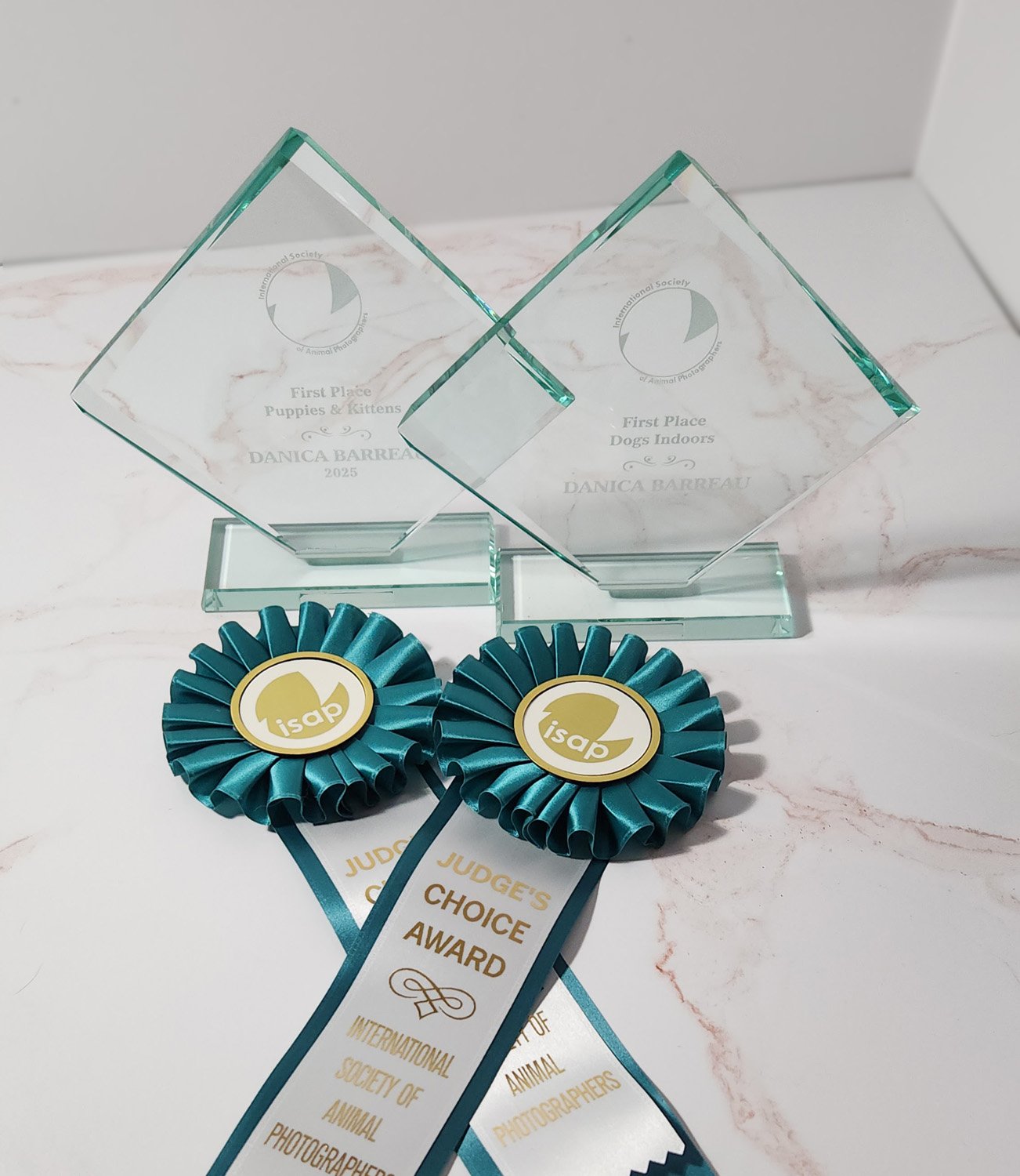 2025 International Society of Animal Photographers Image Competition