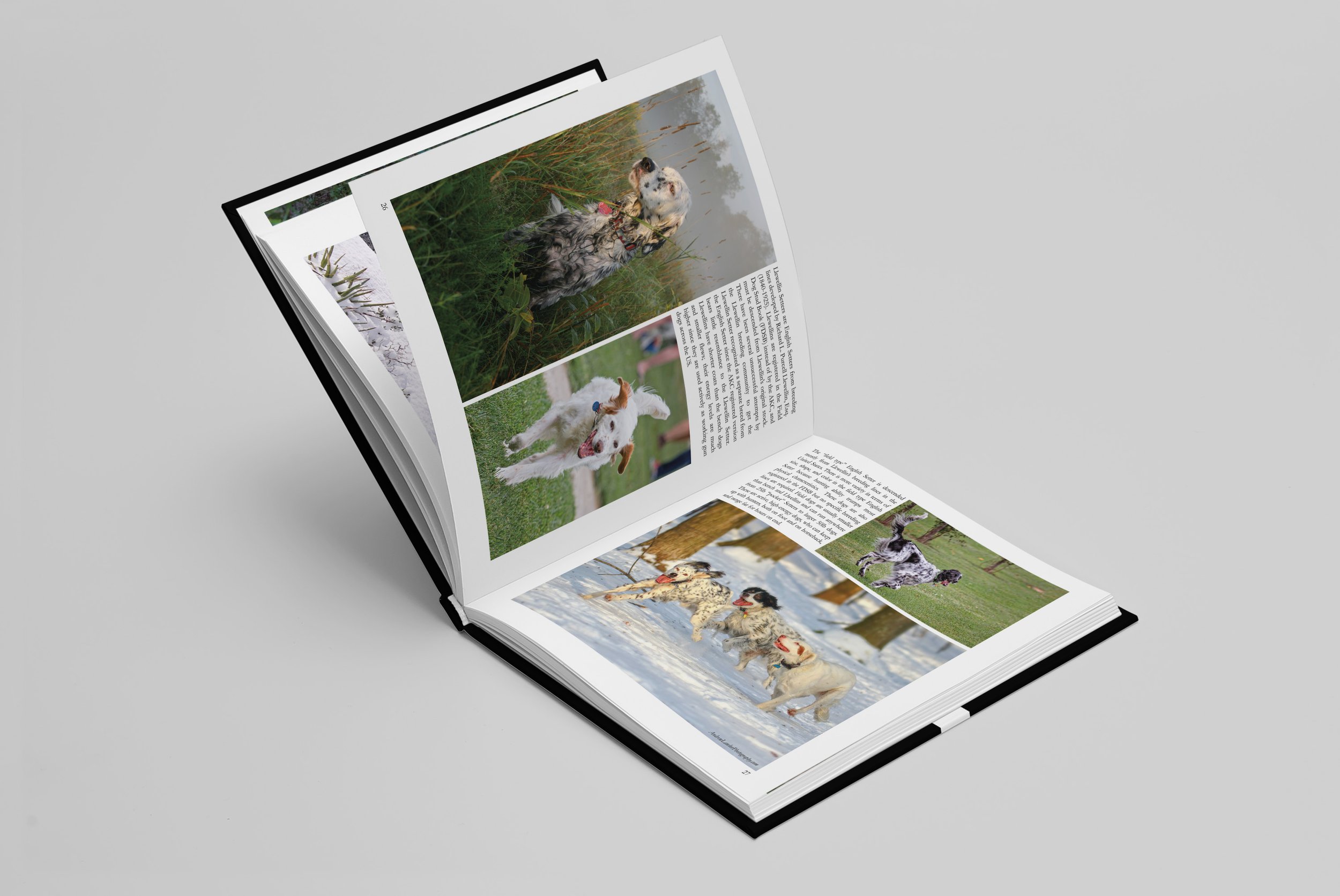03_Square Book Mock-up.jpg