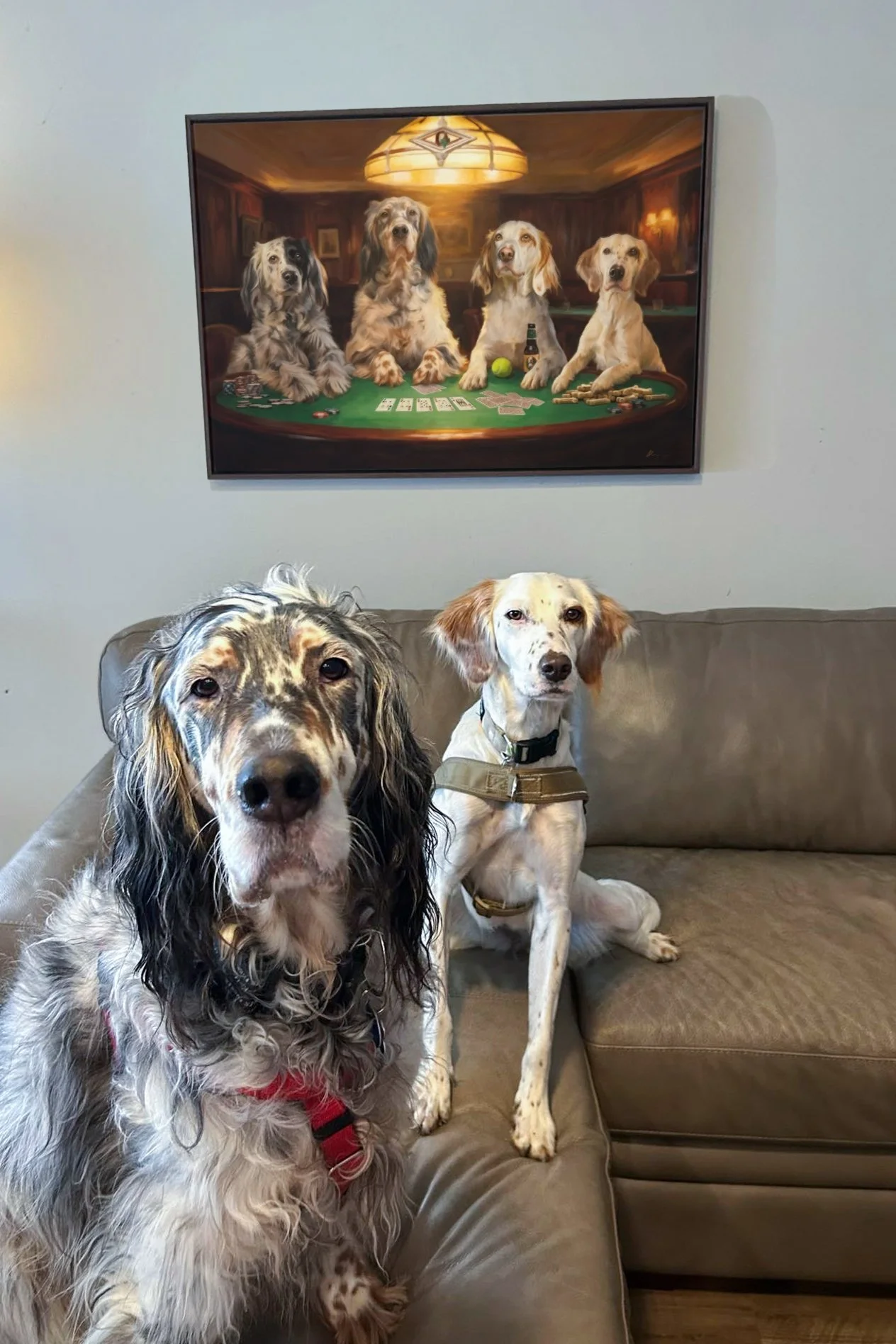 Archie and Edie Edit.jpg