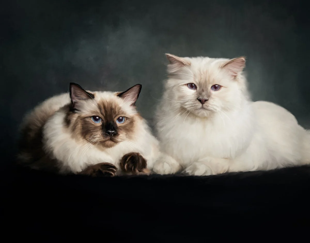 Kraemer Painting copy.jpg