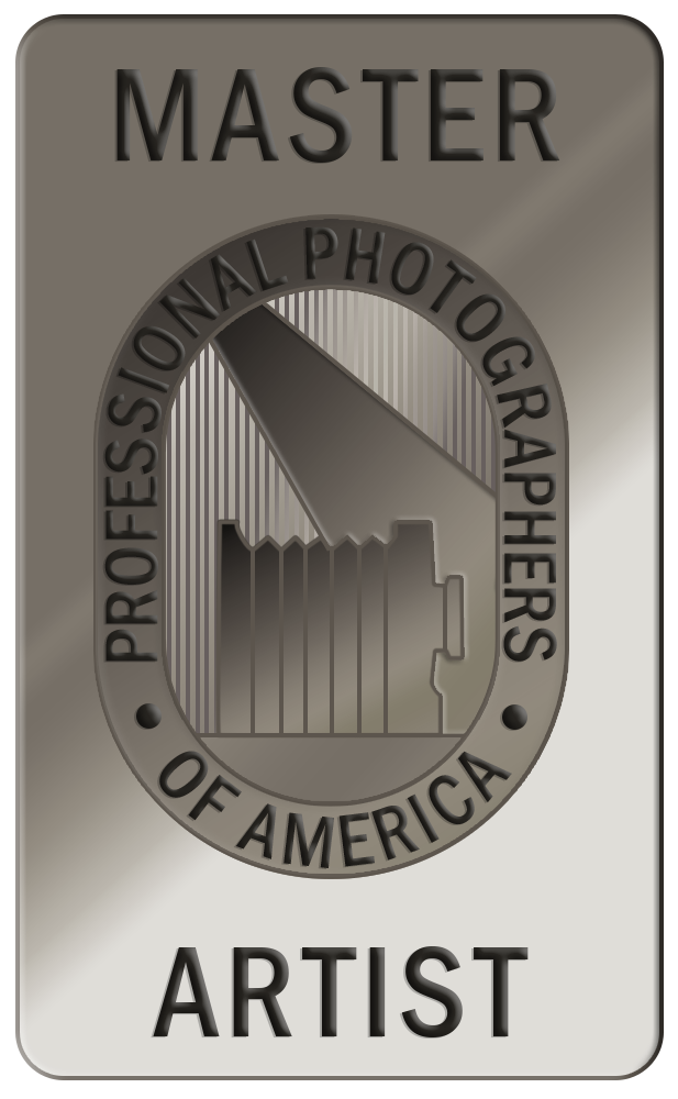 Master Artist png.png