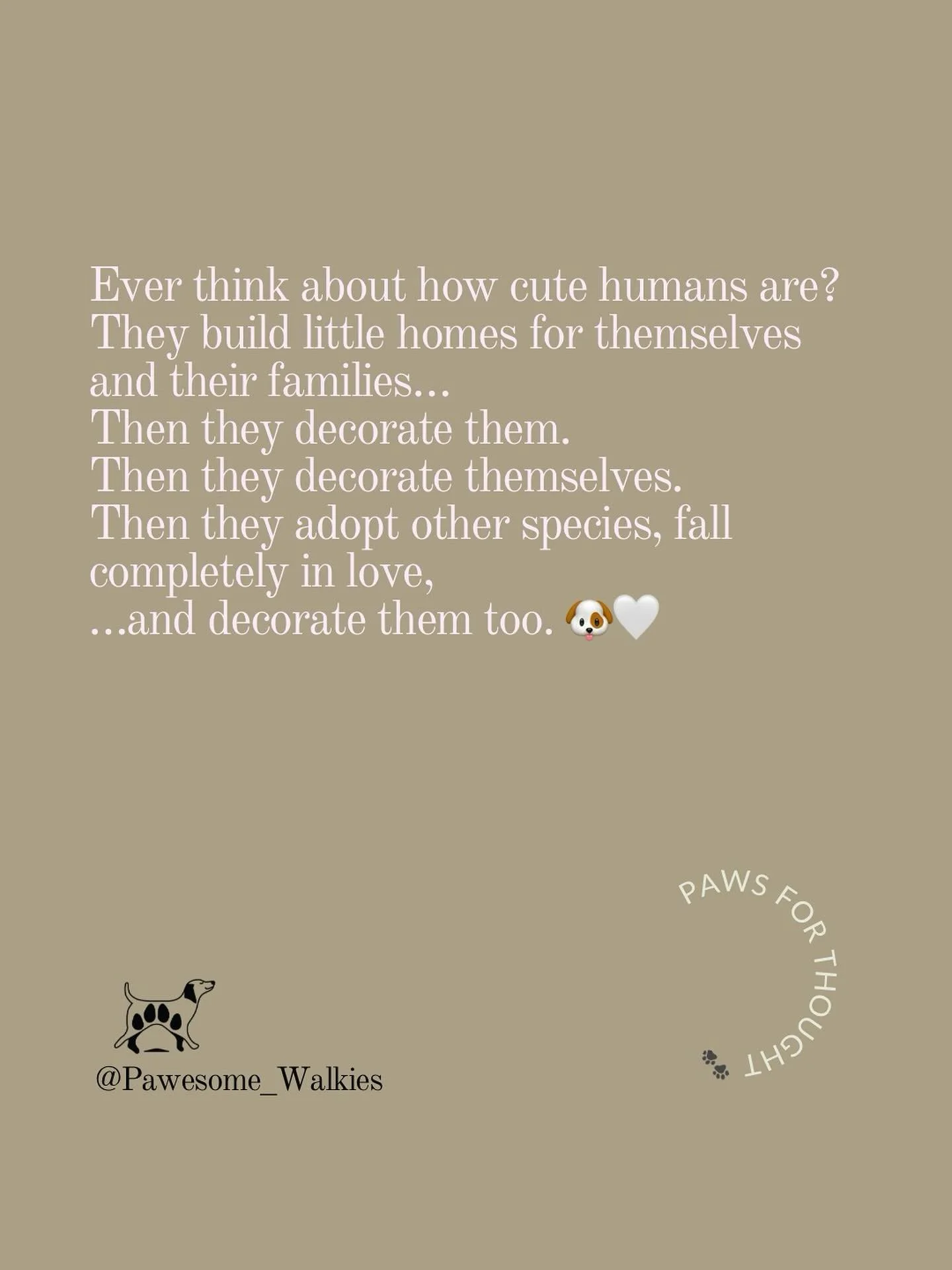 Sometimes we wonder who&rsquo;s really training who&hellip; 😅
Humans build their dens, fill them with treats, toys and love, then somehow end up rearranging their entire lives around their adopted bundles of love.
It&rsquo;s pretty adorable, really.