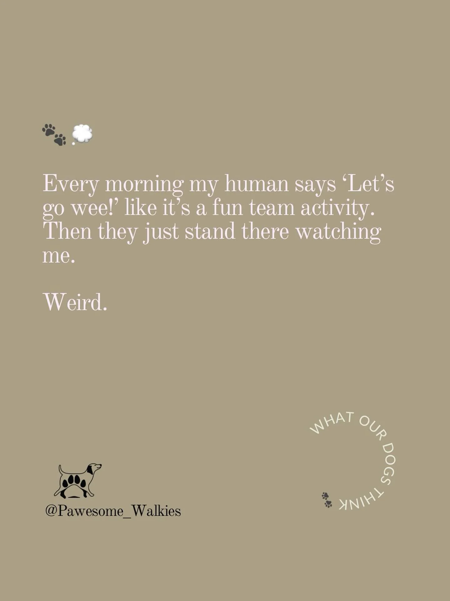 If dogs could talk&hellip; we&rsquo;d probably never live this one down 😂
The things they must think we do for &ldquo;fun team activities&rdquo; 🫣🐕

We might be the ones holding the lead, but let&rsquo;s be honest - they&rsquo;re the ones judging 