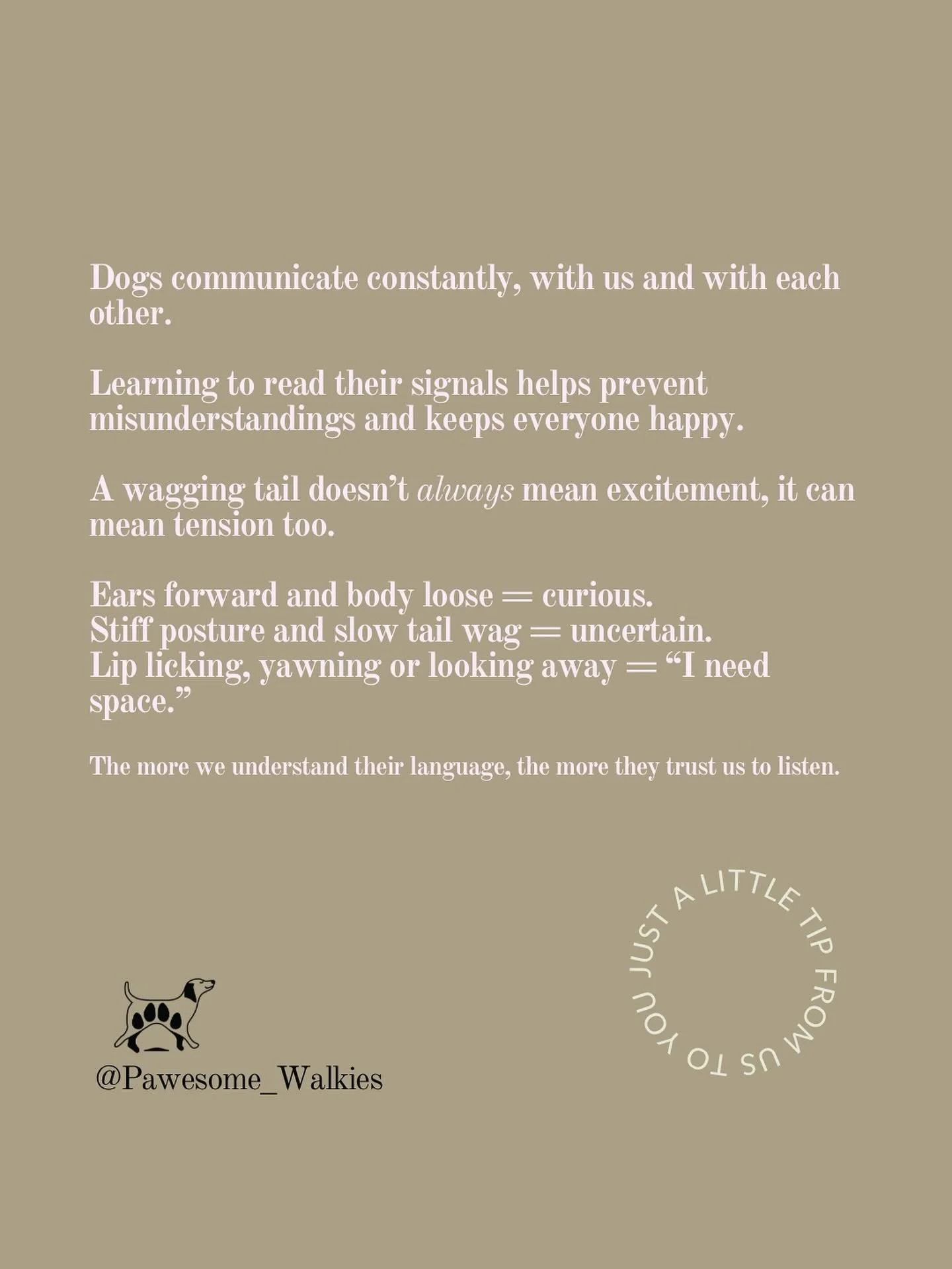 Dogs are always communicating&hellip; we just have to learn how to listen 🐶💛

A wagging tail doesn&rsquo;t always mean happiness, and a yawn doesn&rsquo;t always mean tiredness. Sometimes they&rsquo;re saying, &ldquo;I&rsquo;m a bit unsure,&rdquo; 