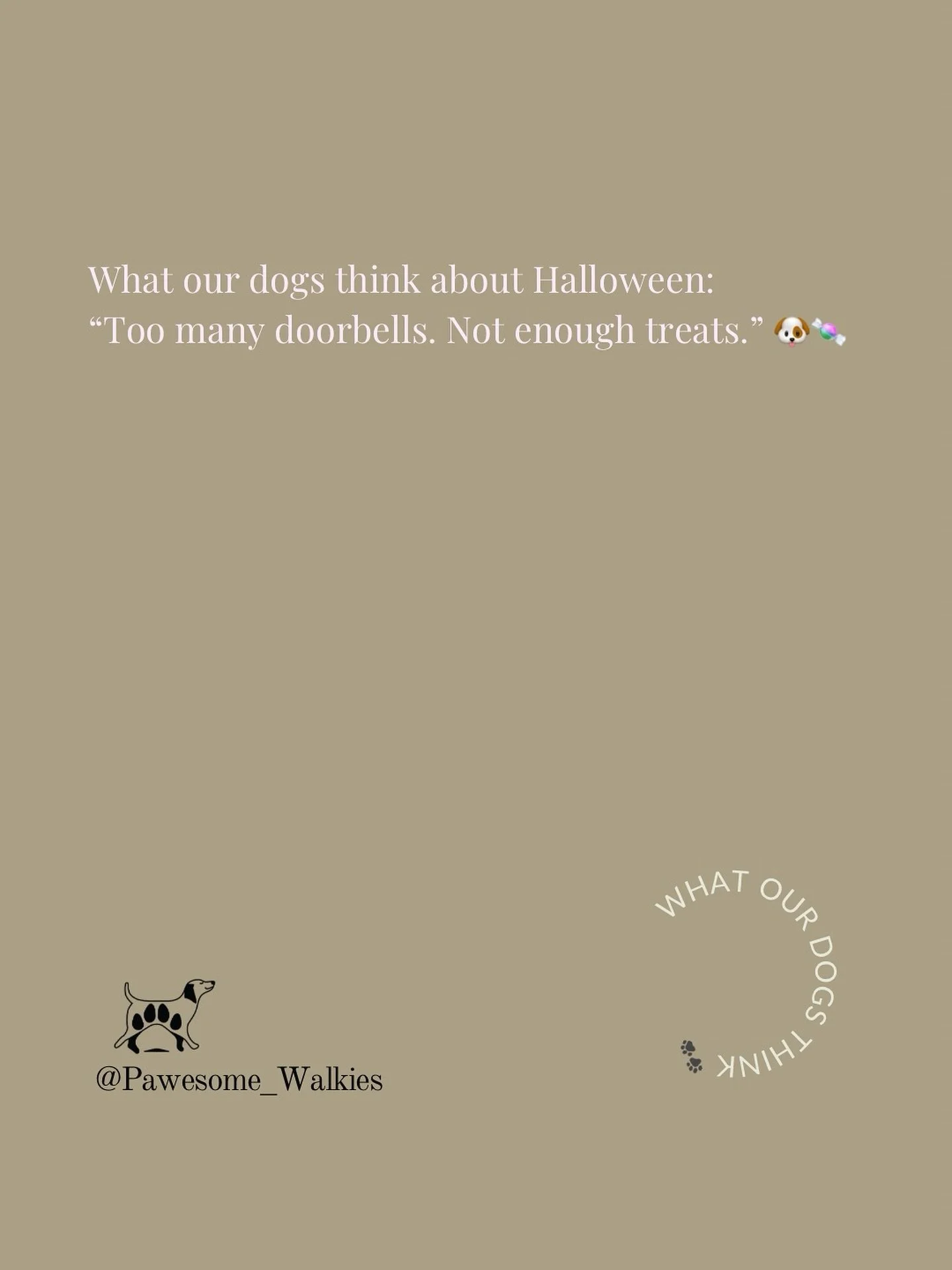 If your dog&rsquo;s looking at you like &ldquo;why is everyone dressed like that?&rdquo; - you&rsquo;re not alone 😂
Make sure they&rsquo;ve got a quiet spot, a chew to focus on, and a cuddle waiting for when the doorbell finally stops ringing 💛

#P