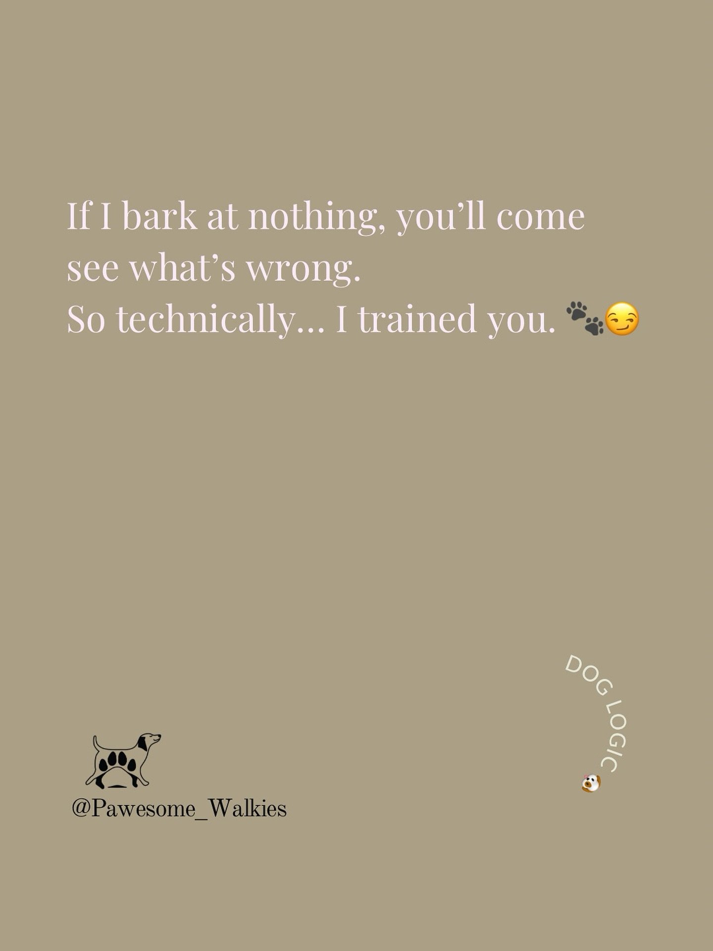 The true hierarchy of the household 👑🐕

#PawesomeLogic #DogHumour #PawesomeWalkies