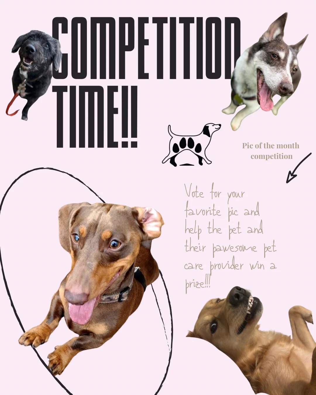 It&rsquo;s Pawesome Pic of the Month time! 📸🐾
And what better way to brighten up a chilly Monday late-morning than voting for your favourite furry face? 💛

We&rsquo;ve shortlisted 4 gorgeous pups from this month&rsquo;s adventures - now it&rsquo;s