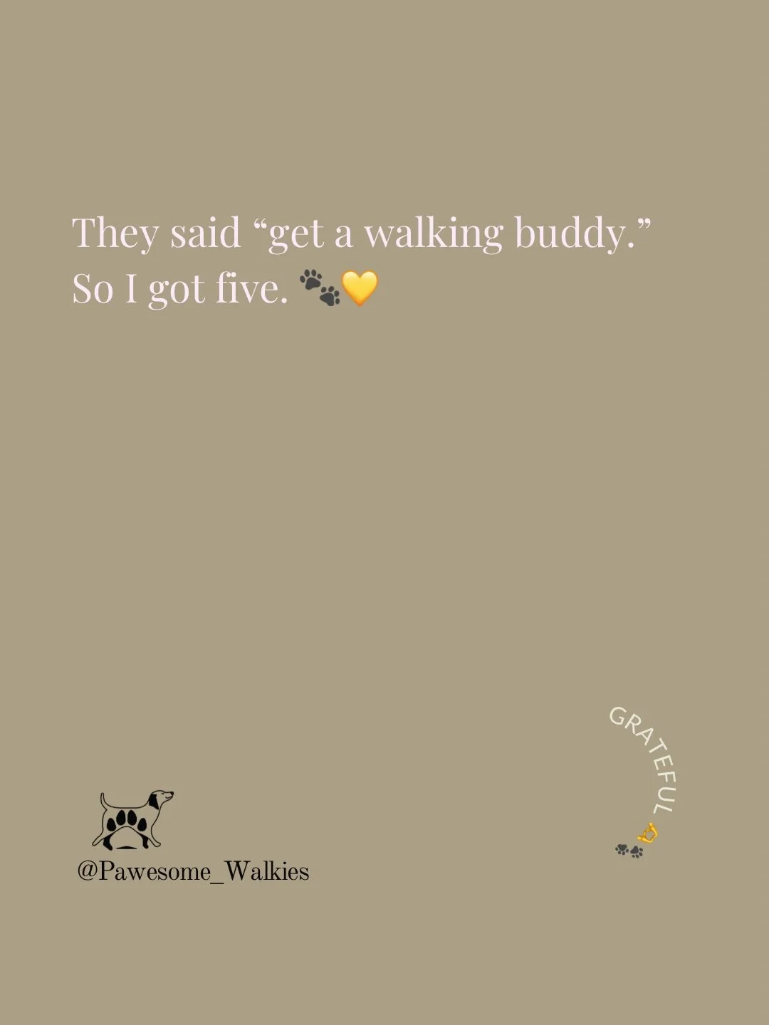 Pack walks are a whole different kind of magic&hellip;
Five personalities, five wagging tails, one big happy adventure 🐕💛
There&rsquo;s nothing quite like watching them move as a little family - choosing their buddies, helping each other feel brave