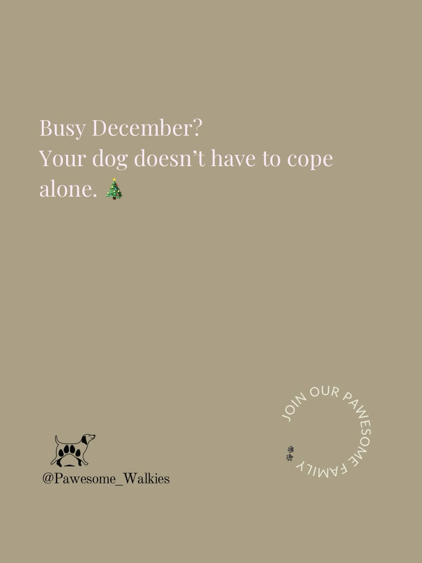 December is officially here&hellip; the cold mornings, the Christmas trees, the work parties, the last-minute plans&hellip; and somehow it becomes the month where our dogs end up spending the longest time alone 💛🐾

But they really don&rsquo;t have 