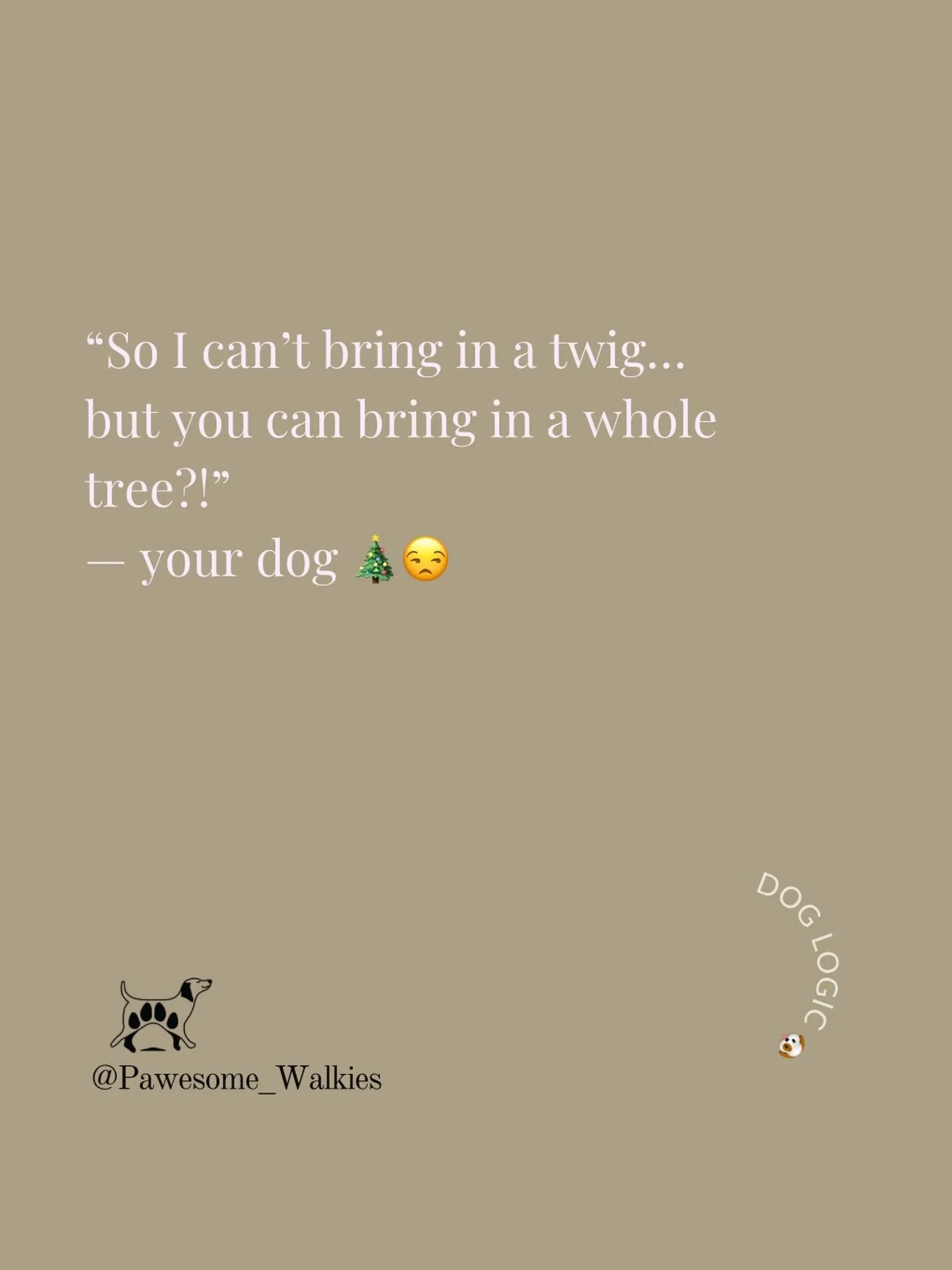 Honestly&hellip; the double standards are wild 🎄😅

Who else&rsquo;s dog is deeply confused by the Christmas tree? 👇🐾