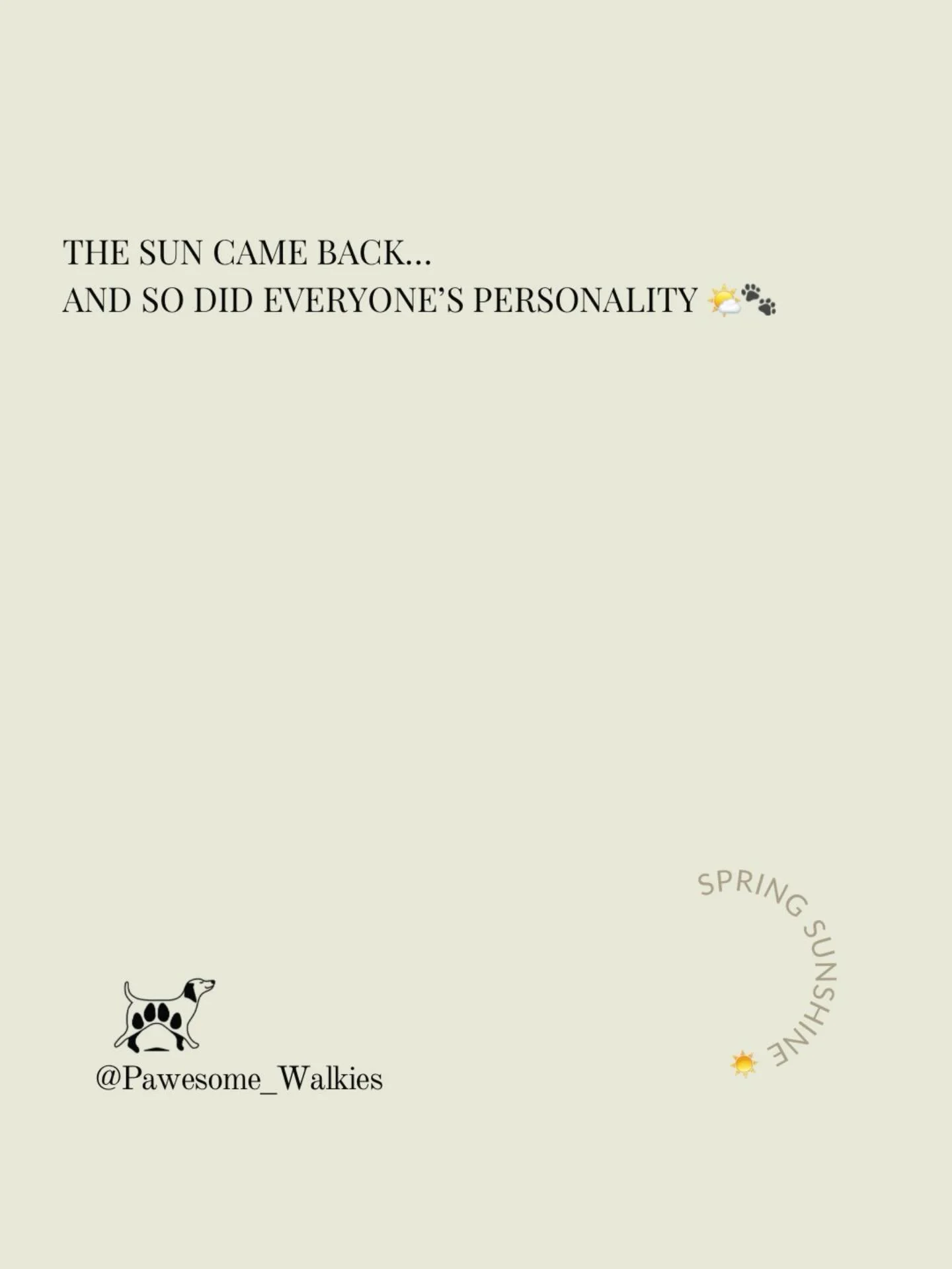 Be honest&hellip; have your dogs been a little extra since the sun came out? 😅🐾👇