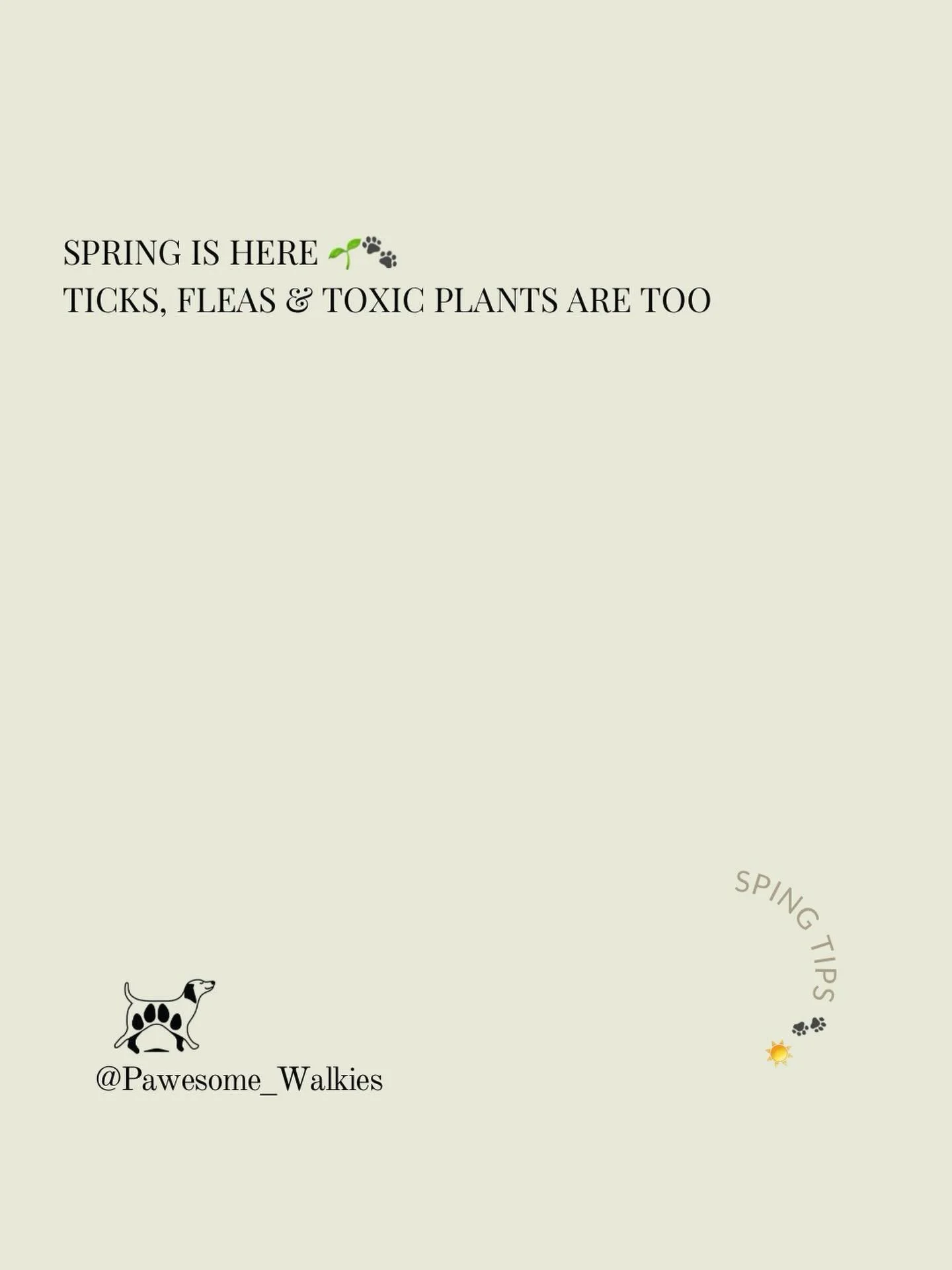 Spring walks are some of the best&hellip; lighter evenings, fresh air, and very happy dogs 🌱🐶

But it also brings a few things to be mindful of&hellip;
Ticks, fleas, seasonal allergies, and certain plants that can be harmful if sniffed or eaten.

A