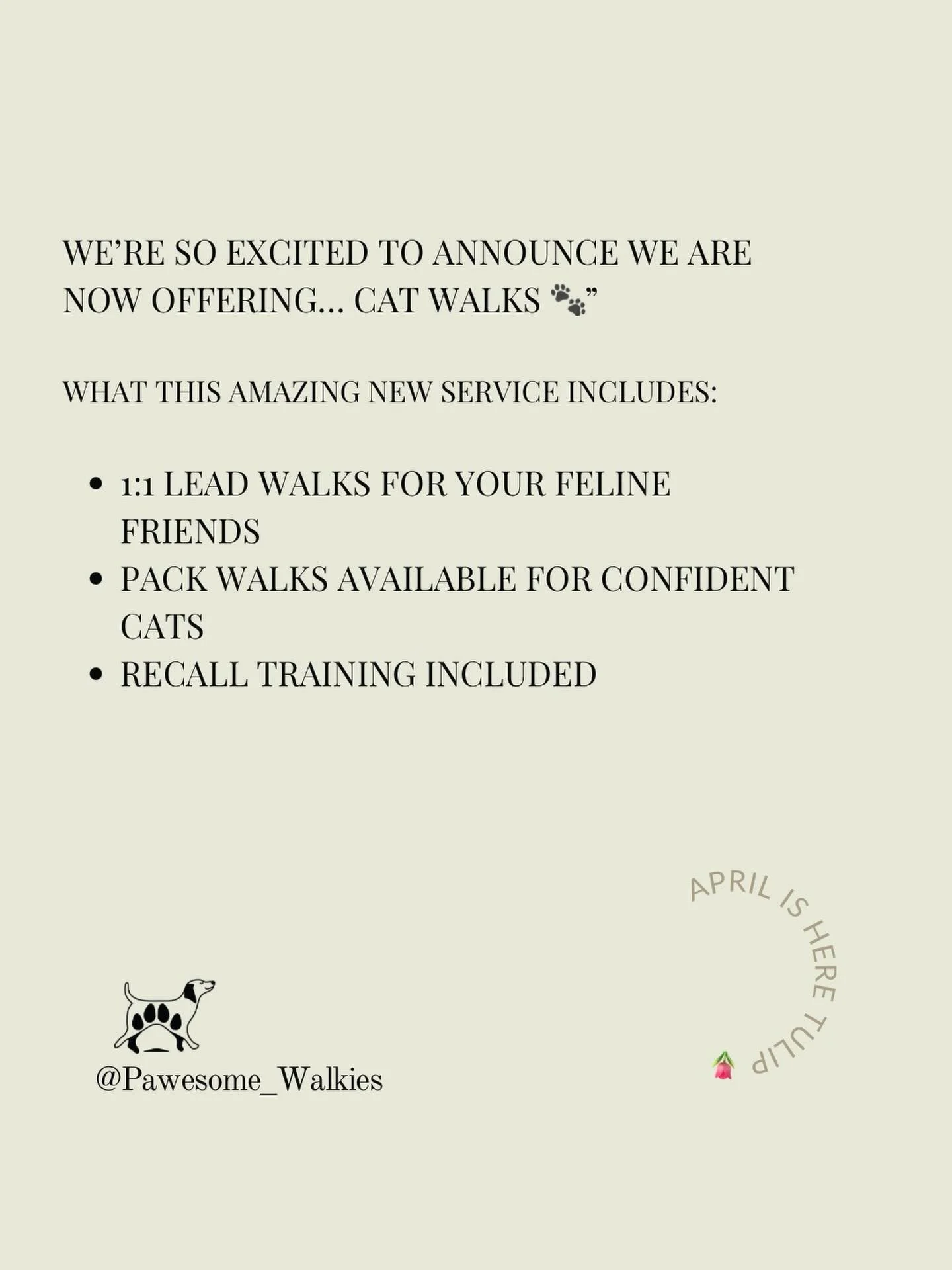 We&rsquo;ve been working on something new behind the scenes&hellip; 🐾

After lots of requests, we&rsquo;re so excited to finally be offering cat walks.

We&rsquo;ll be starting with 1:1s and slowly introducing pack walks for our more confident felin