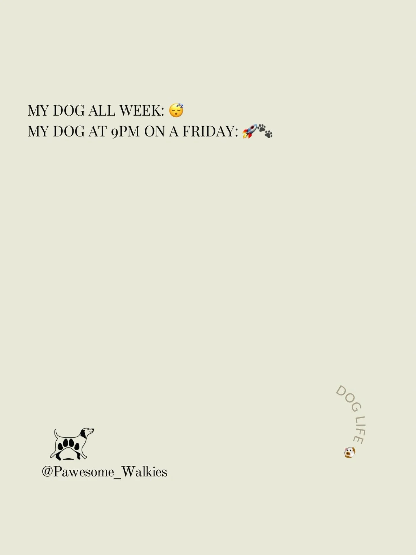 All week they&rsquo;ve been snoozing in sun spots, taking leisurely strolls, and acting like butter wouldn&rsquo;t melt&hellip; ☀️😴🐾

Then Friday evening arrives and suddenly they&rsquo;re training for the Olympics 🚀

Have a lovely weekend everyon
