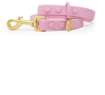 Pink Lead 2.png