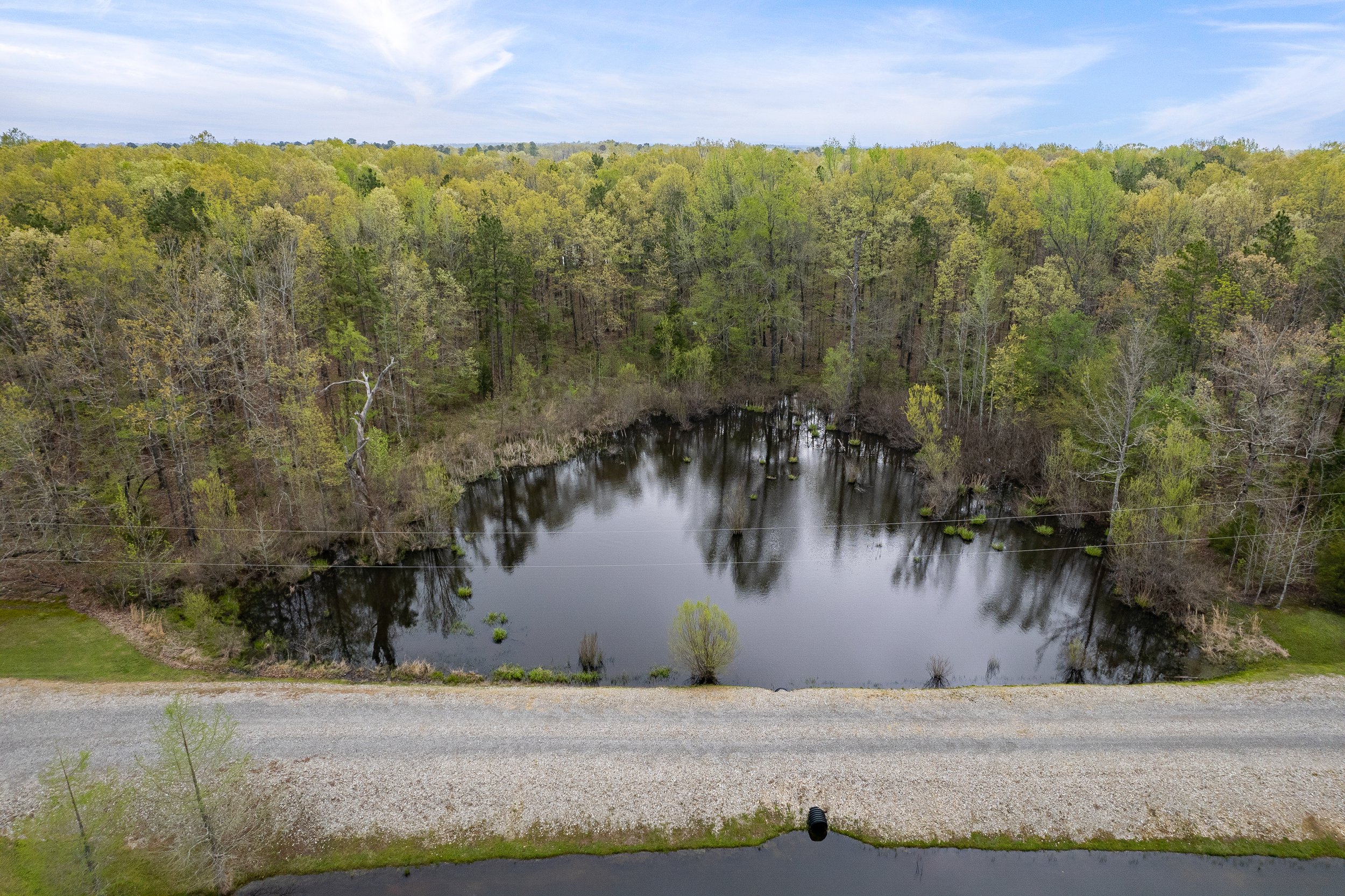 Shady_Grove_Rd-80.jpg