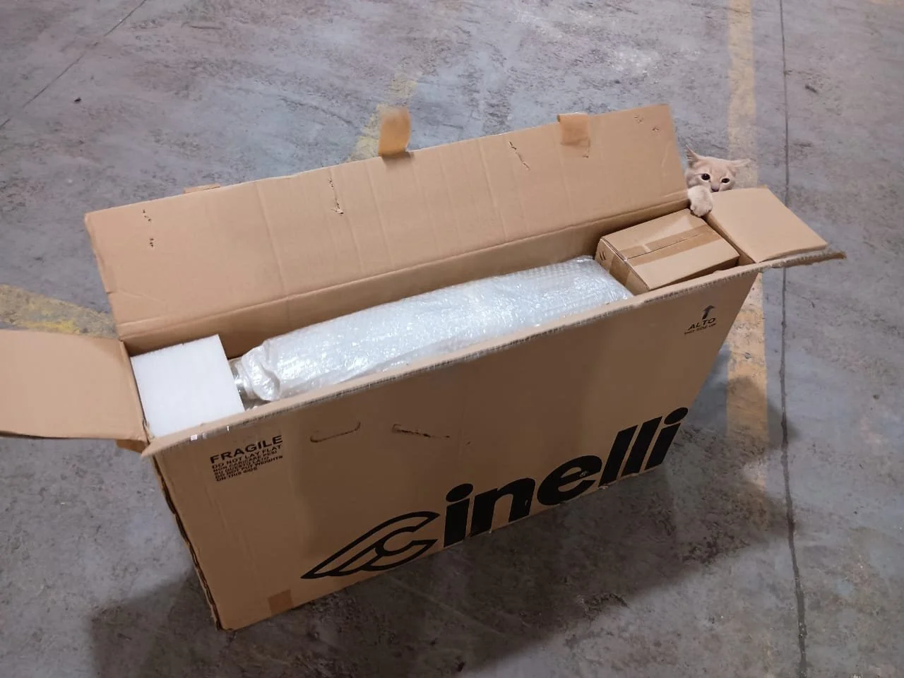 WhatsApp Image 2026-03-11 at 7.41.04 PM (5).jpeg