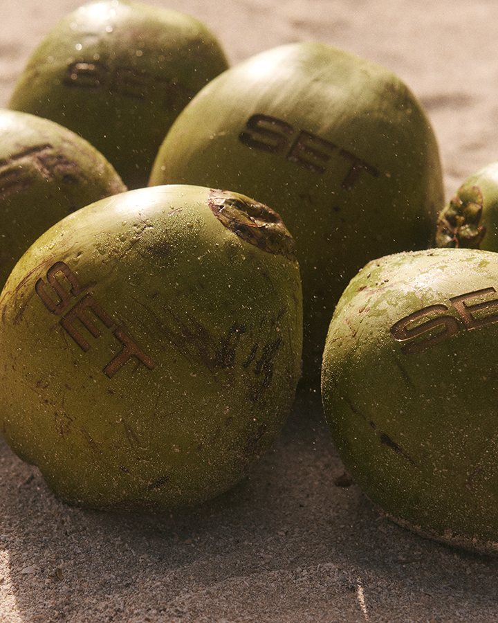 13_SA_Coconuts_049_ADAM_WEB.png