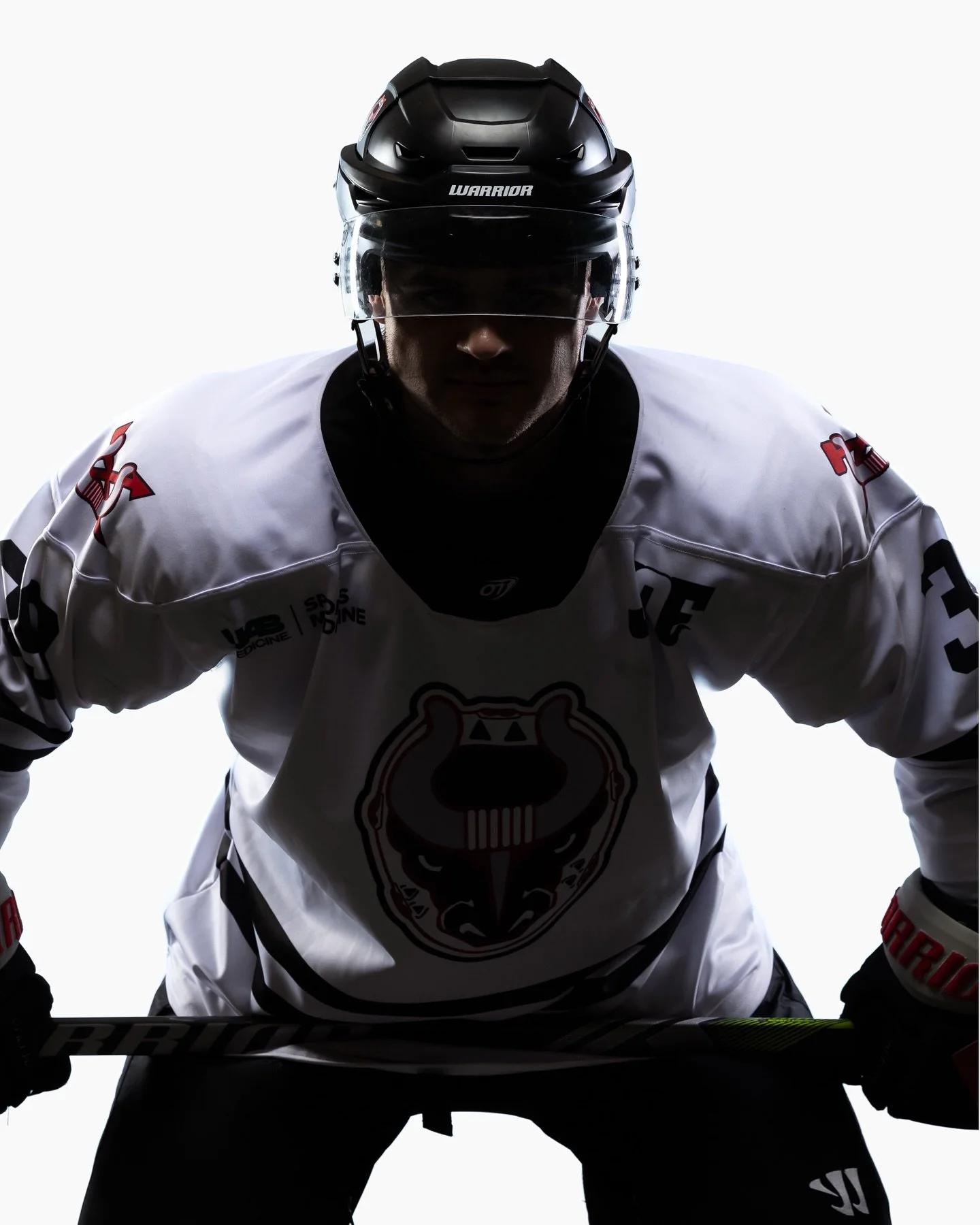 The boys are back in town.
.
.
.
.
.
.
.
#mediaday #birminghambulls #bullshockey #icehockey #sphl #minorleaguehockey #sports #hockey #hockeyportrait