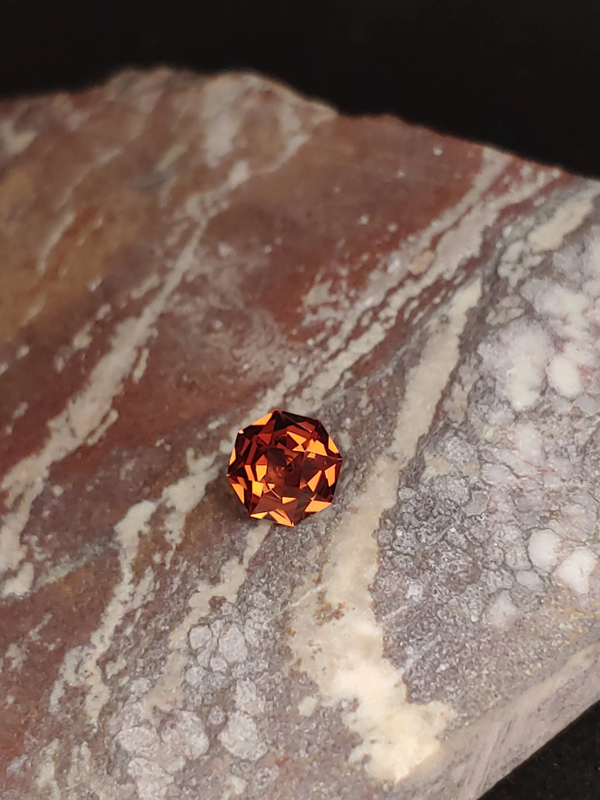 20211031_023540 (1).jpg