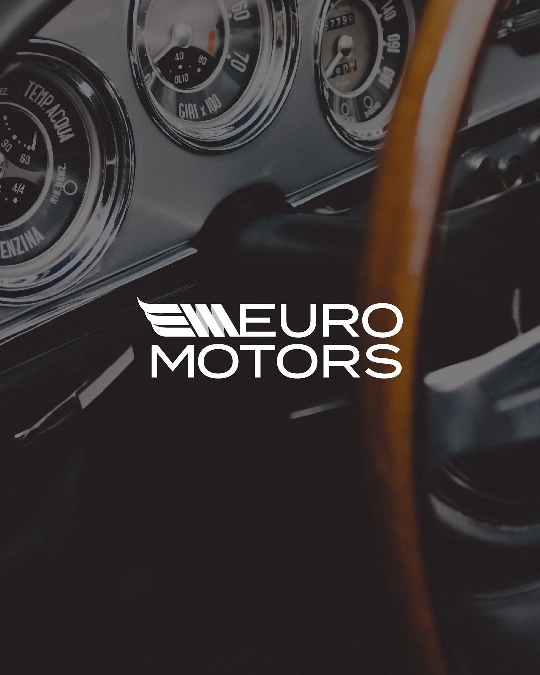 ✨ New look, same passion for perfection.

When Euro Motors @euromotorsyqg approached me, their goal was clear: evolve their classic logo into something that truly reflects the calibre of their distinguished clientele. With decades dedicated to &ldquo