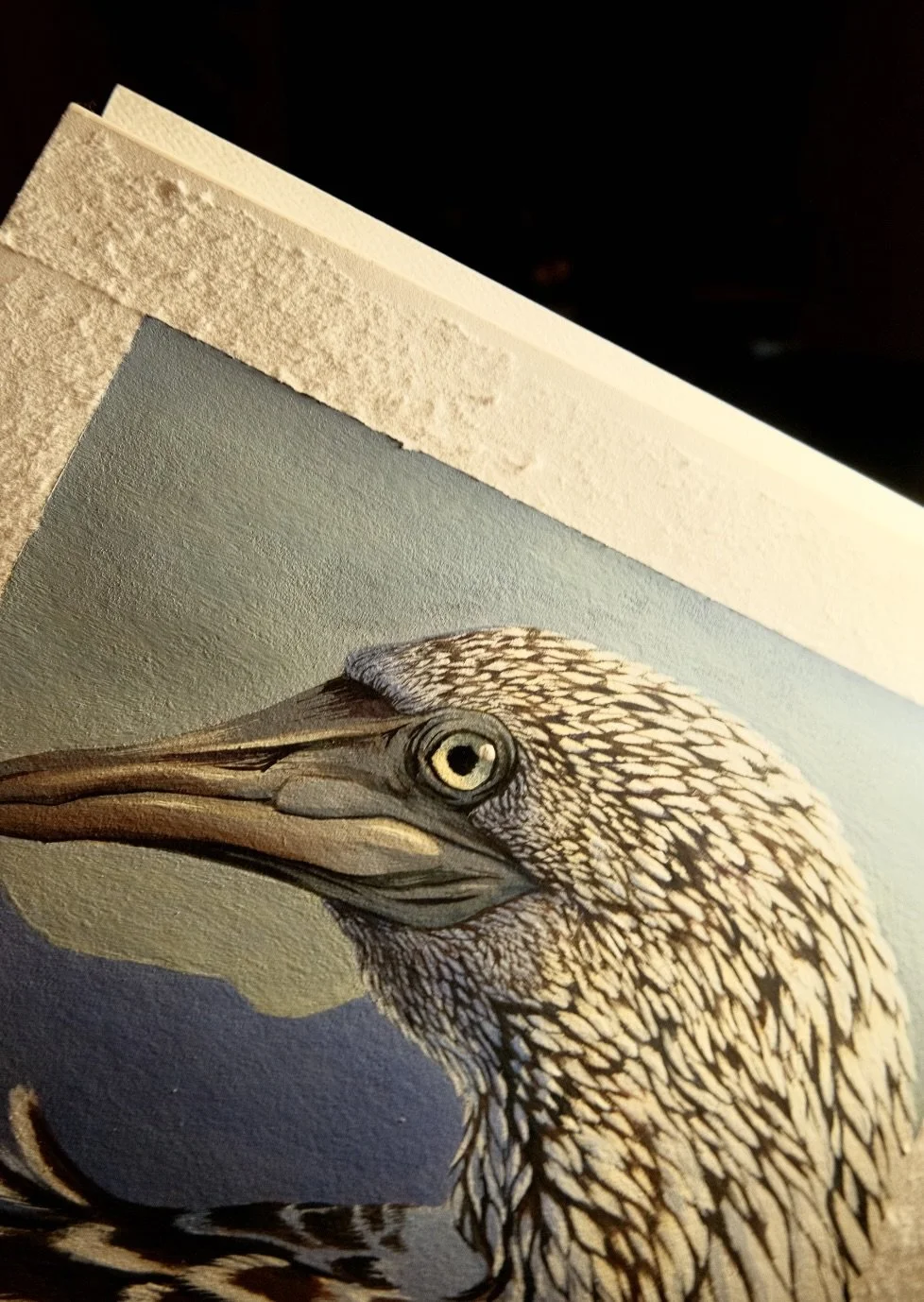 Screenshot 2026-02-24 at 7.25.57 PM.jpeg