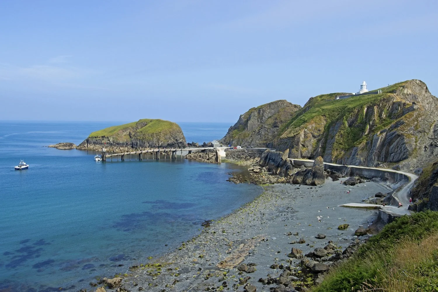 From Island Under Siege to Seabird Sanctuary