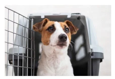 Yavapai Humane Trappers Animal Search & Rescue