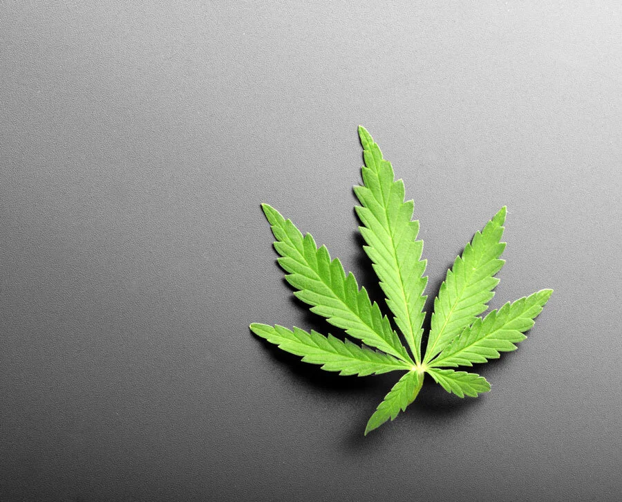 Georgia’s Election Might Determine the Future of Marijuana Federally