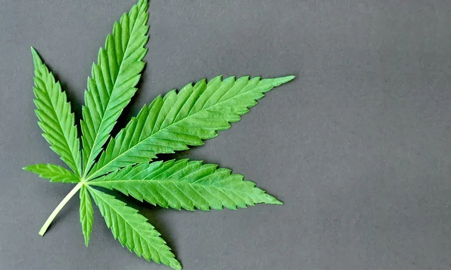 Alabama Lawmakers Approve Medical Marijuana