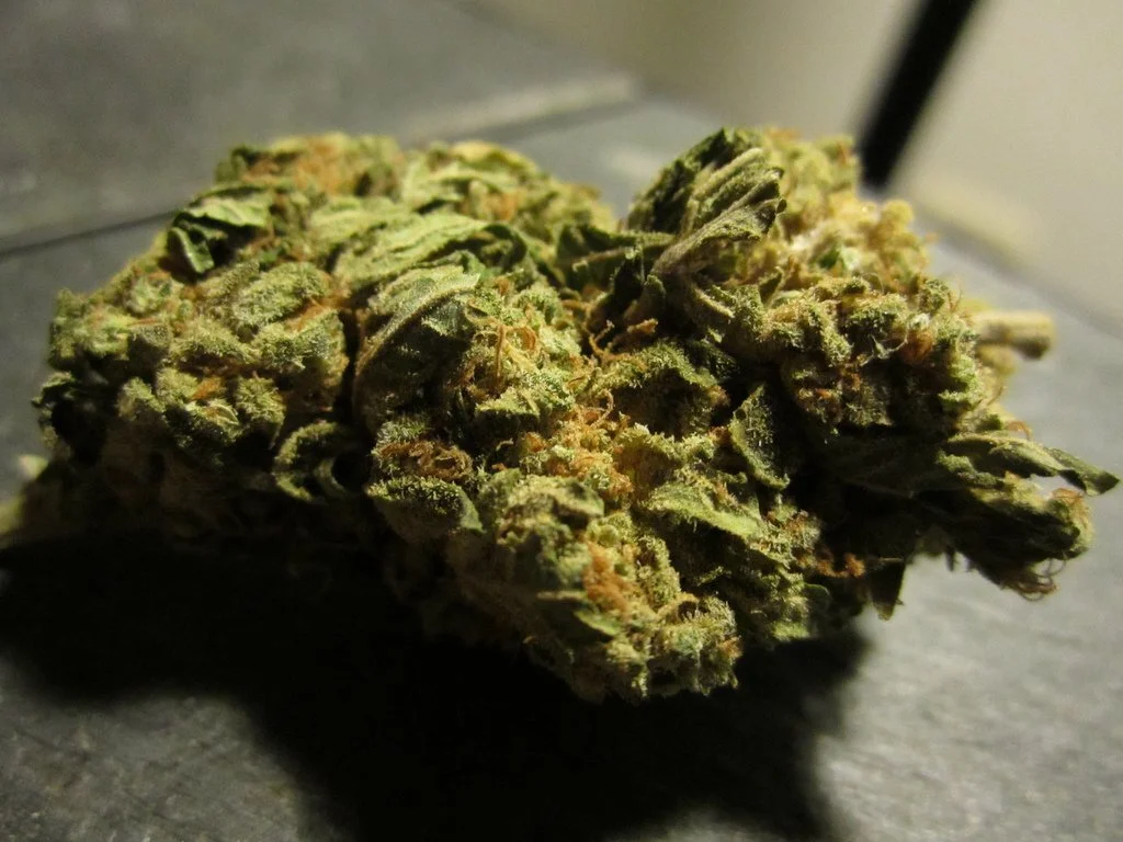 Wisconsin Republicans Deplore Opioid Deaths While Fighting Against the Solution