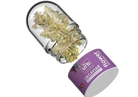 Kenosha-based LiftedMade Sells Products Infused with Cannabinoids</a>