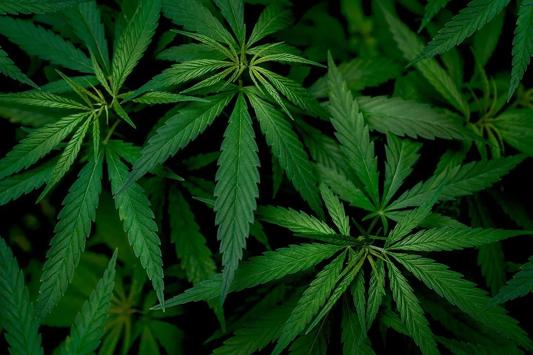Police Keep Arresting Drug Users, Ignoring Shift in Law Enforcement and Legal Reform