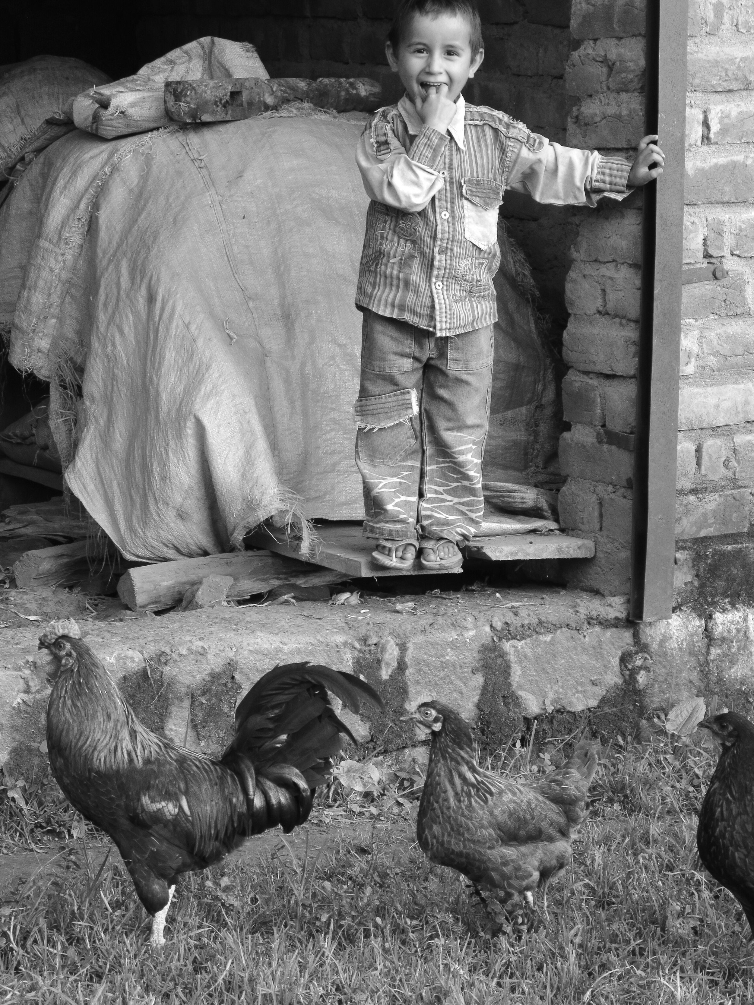 Boy and Chickens India 2011