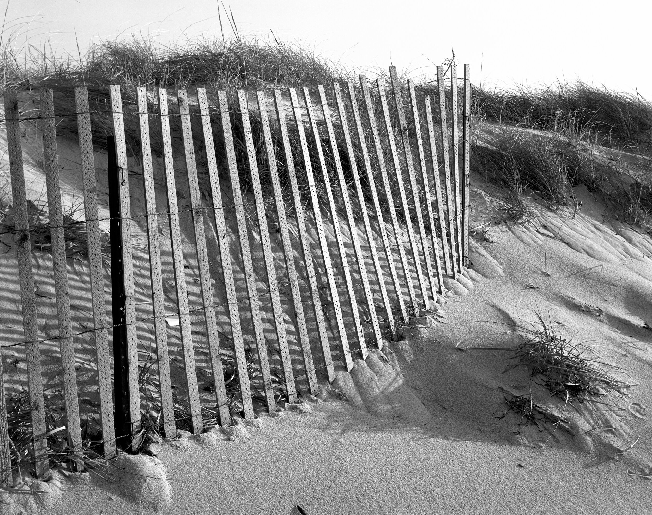 Fence and Sand Cape Cod (date unknown)