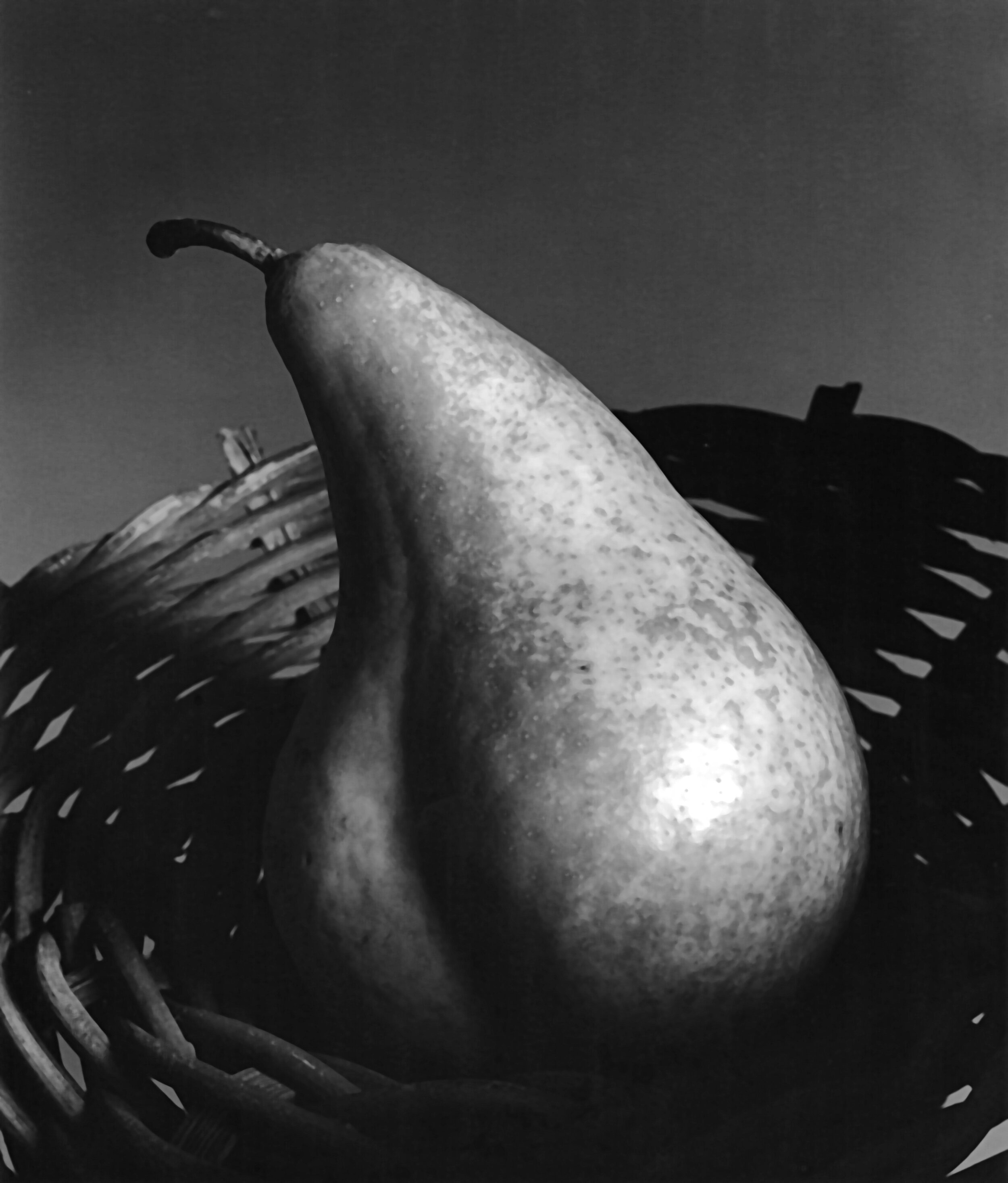 Pear Still Life (date unknown)